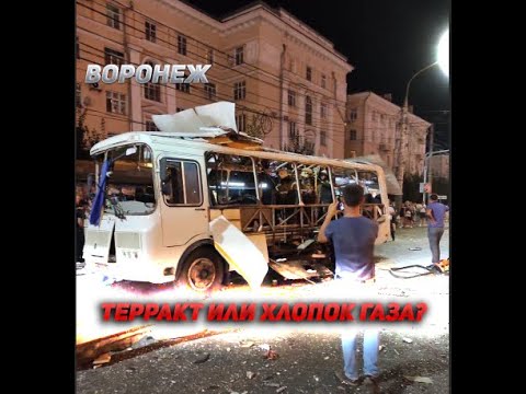 Кашель у собак: причины, симптомы и лечение - научная статья центра ответ