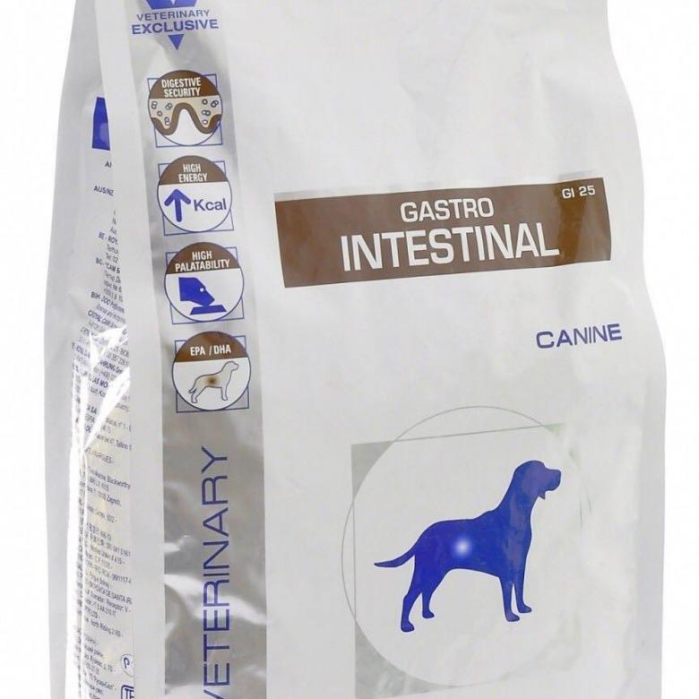 Из чего состоит корм royal canin gastro intestinal для котов: подробный обзор
