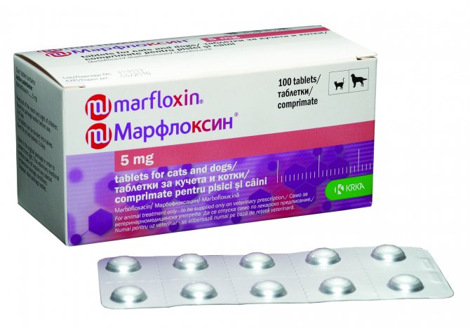 Марфлоксин для собак