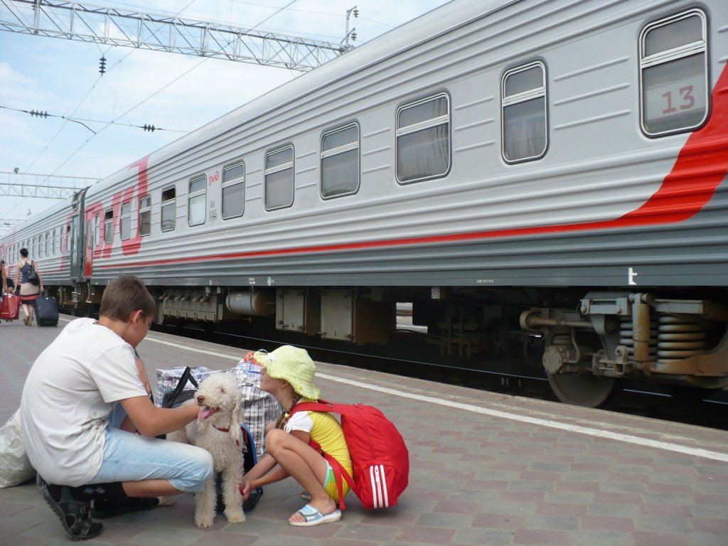 Правила перевозки собаки в поездах дальнего и ближнего следования