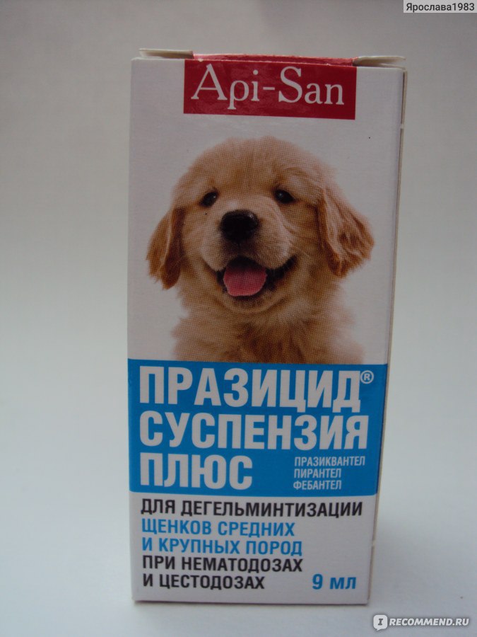 Празицид для собак: инструкция по применению