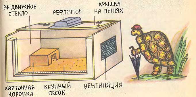 Террариум для красноухих черепах - как  сделать своими руками :: syl.ru