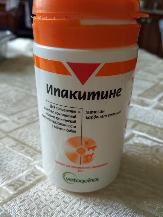 Рекомендации ветеринаров по применению препарата ипакетине для кошки