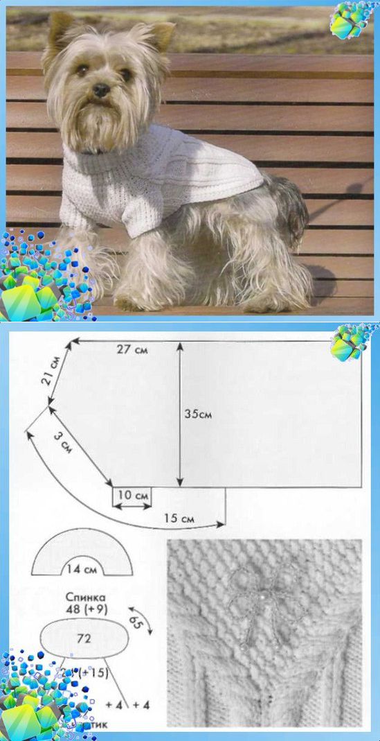 Вязание для собак: одежда спицами и крючком своими руками для начинающих, схемы, описание, модели для мелких пород