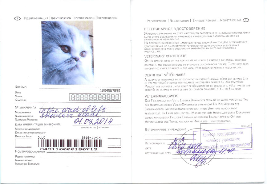Заполнение ветеринарного паспорта для кошек