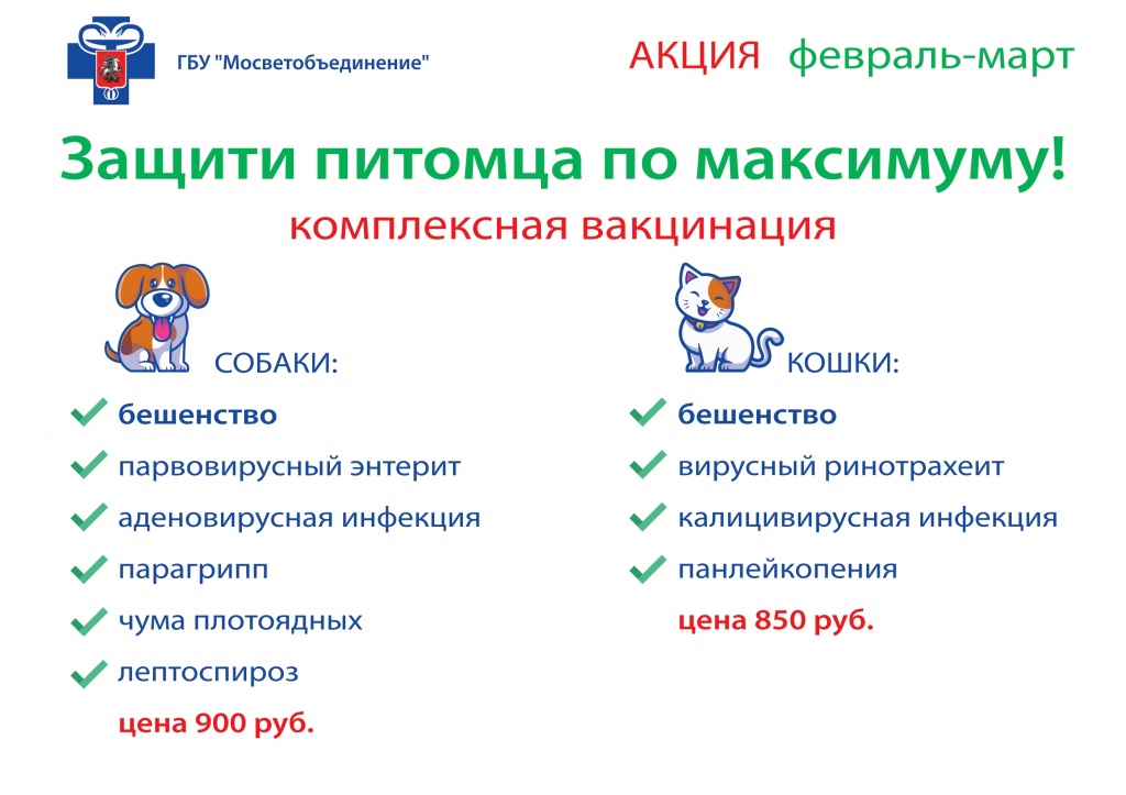 Прививки для кошек