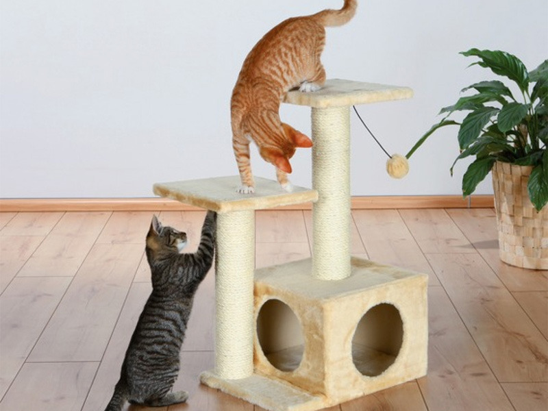 Домик для кошки своими руками: особенности конструкций, подробная инструкция по изготовлению