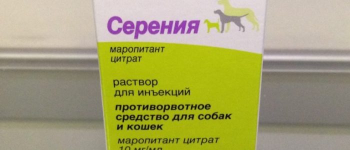 Инструкция по применению препарата «серения» для кошек