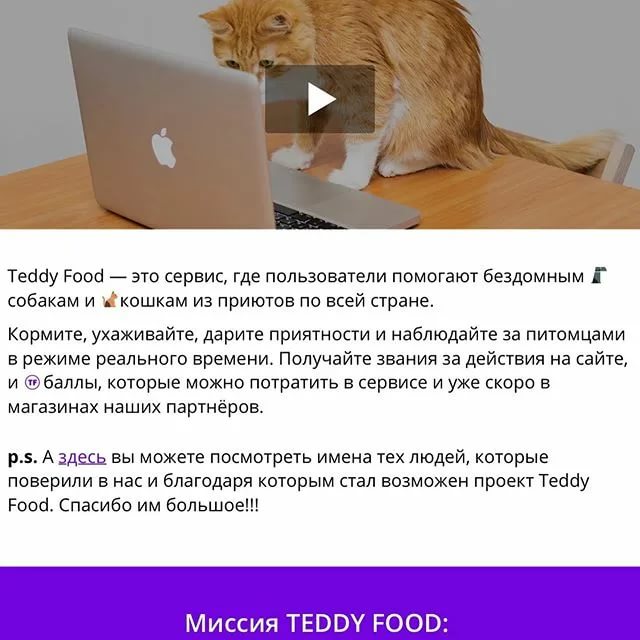 Teddy food — социальный сервис для усатиков