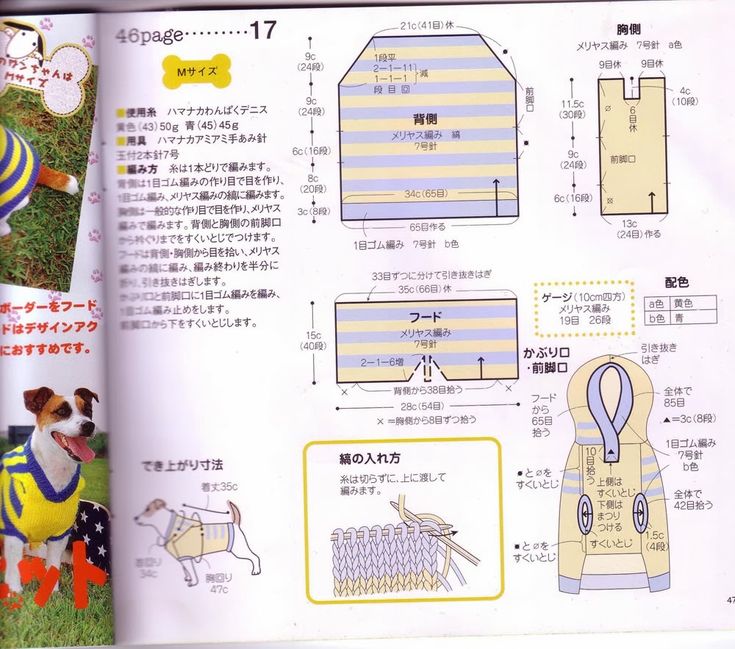 Схемы вязания одежды для собак мелких пород спицами