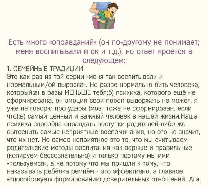 Как воспитать кошку: правила кошачьего воспитания
