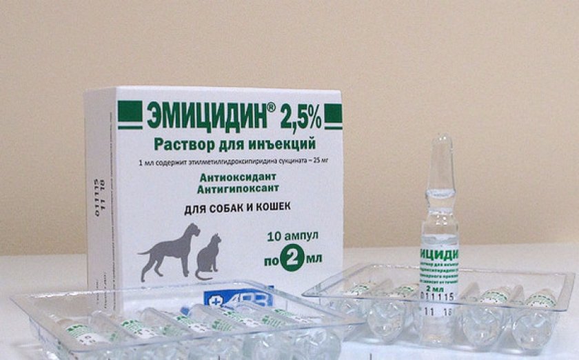 Эмицидин для кошек: инструкция по применению, фармакологические свойства, отзывы, аналоги