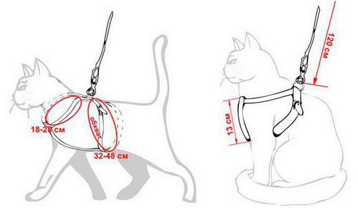 Как сделать ошейник для кошек своими руками? подробная инструкция