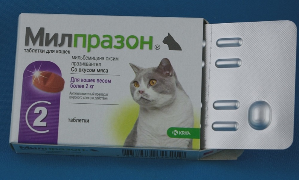 Милпразон для кошек: инструкция по применению препарата от глистов