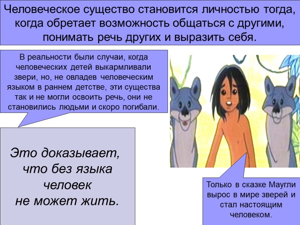 Понимает ли кошка человеческую речь: мифы и реальность - gafki.ru