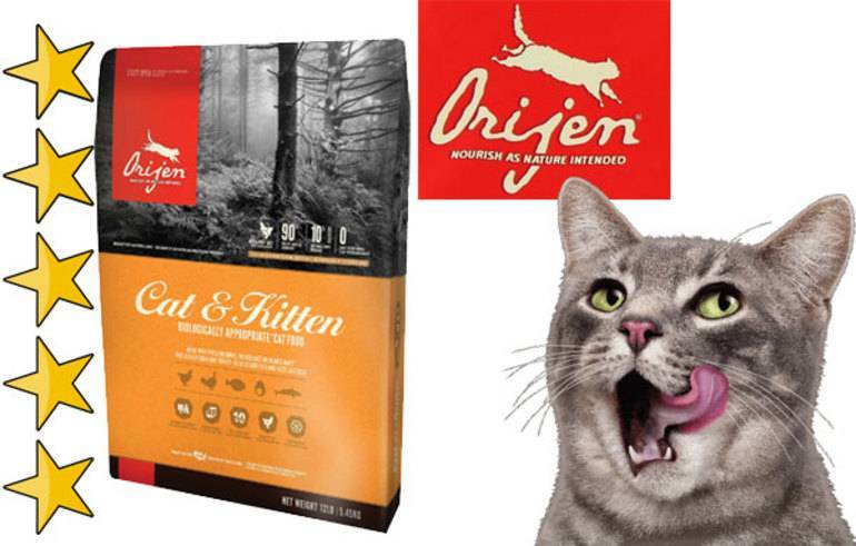 Корм для кошек orijen: отзывы, разбор состава, цена