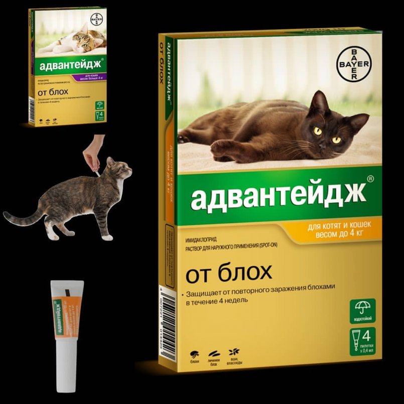 Ветом для кошек: инструкция по применению и дозировка, особенности приема биодобавки