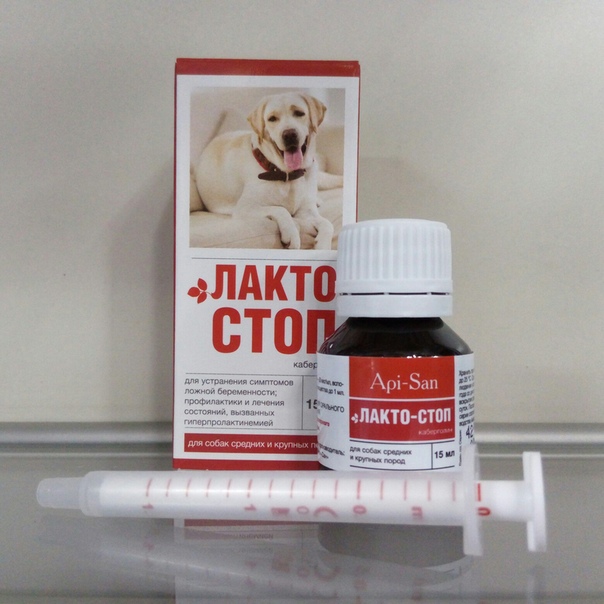 Лакто-стоп для собак: инструкция по применению, действующее вещество, схема лечения