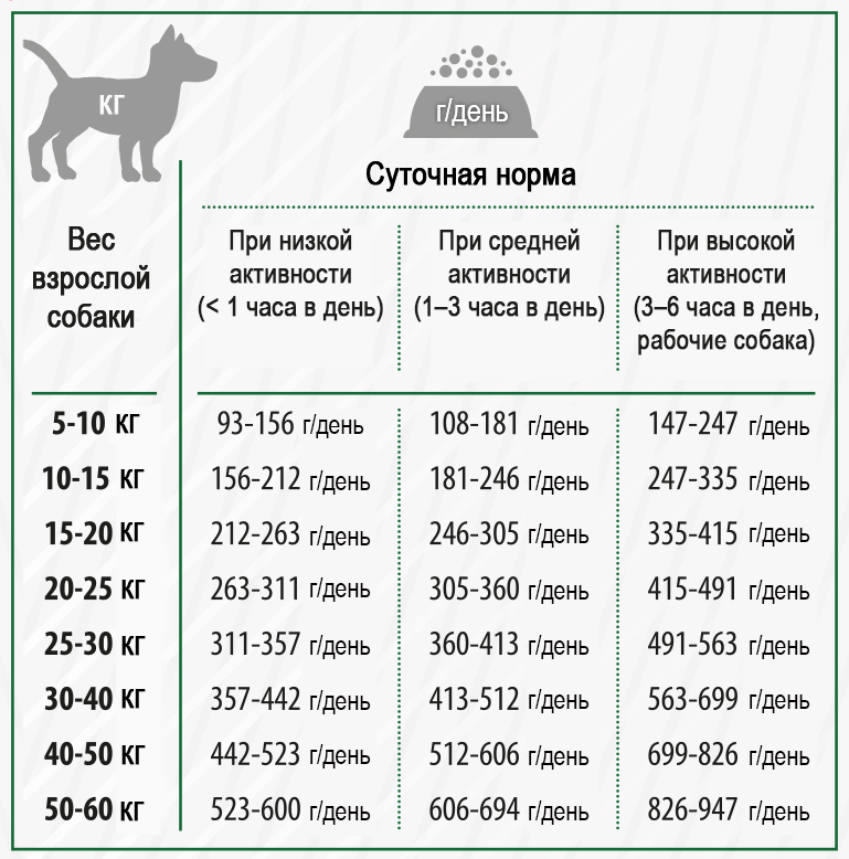 Нормы кормления собак сухим кормом - суточная дозировка по калорийности и бренду, режим питания