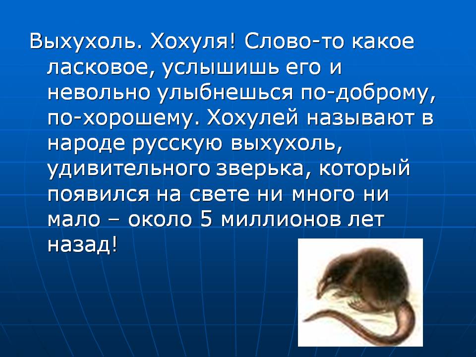 Выхухоль: самое смешное русское животное. обсуждение на liveinternet