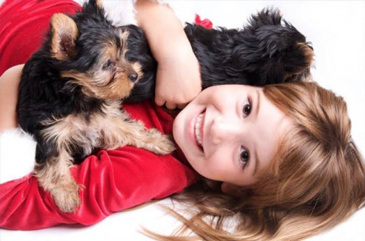 Породы собак для детей: какую лучше завести