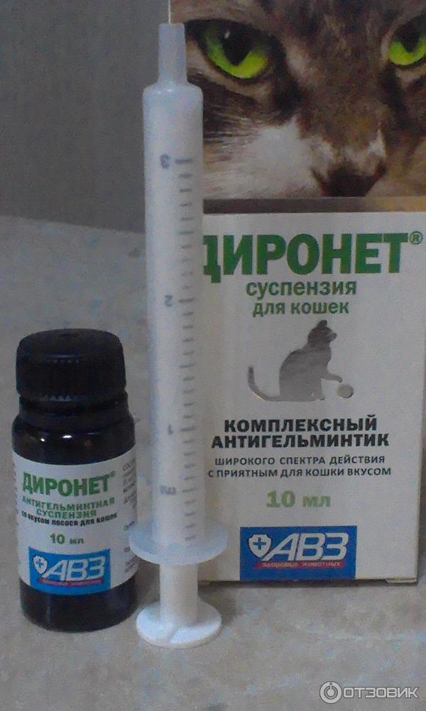 Диронет для кошек (капли спот-он, таблетки, суспензии): инструкция по применению, отзывы
