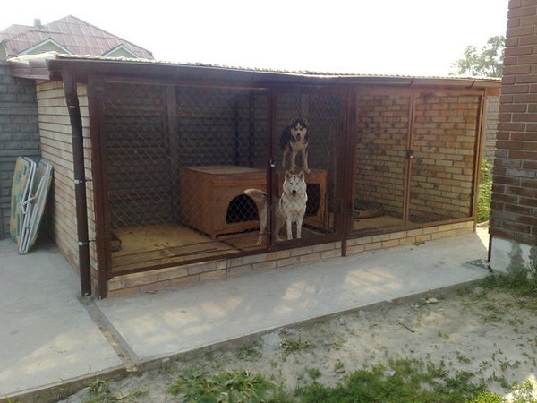 Вольер и будка для алабая (27 фото): как выбрать верный размер вольера и конуры для собаки? требования к вольерам для щенков