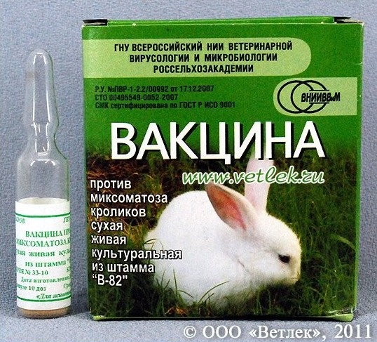 Ассоциированная вакцина для кроликов против миксоматоза и вгбк — инструкция, как разводить и применять, дозировка
