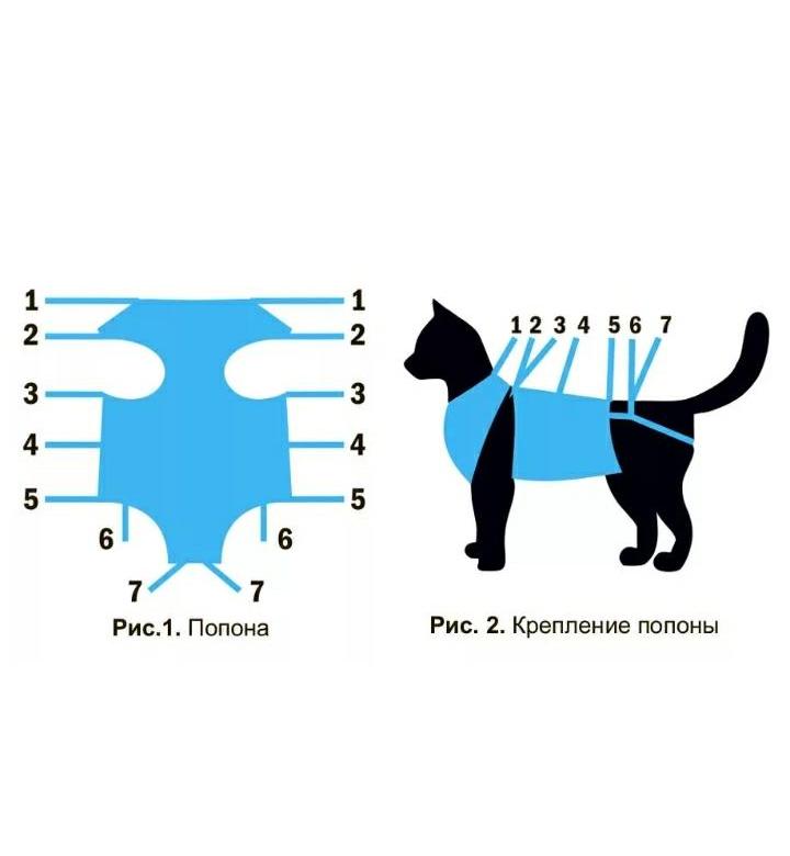Попона для кошки после стерилизации: как надеть и снять, выкройка