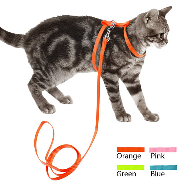 Инструкция по изготовлению шлейки для кошки и как надеть ее на домашнюю любимицу
