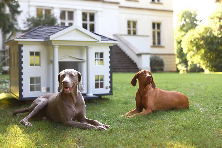 10 лучших пород собак для охраны частного дома — верные и надежные