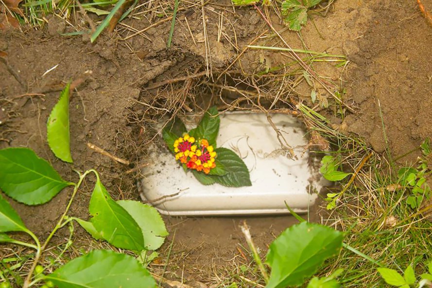 Можно ли хоронить животных на человеческом кладбище – похороны кошек