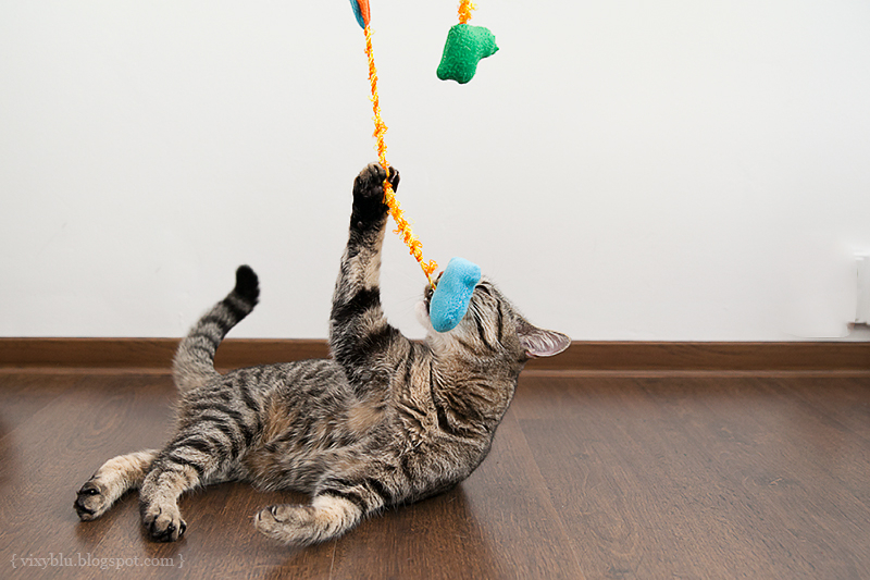 Как сделать игрушку для кошки своими руками?