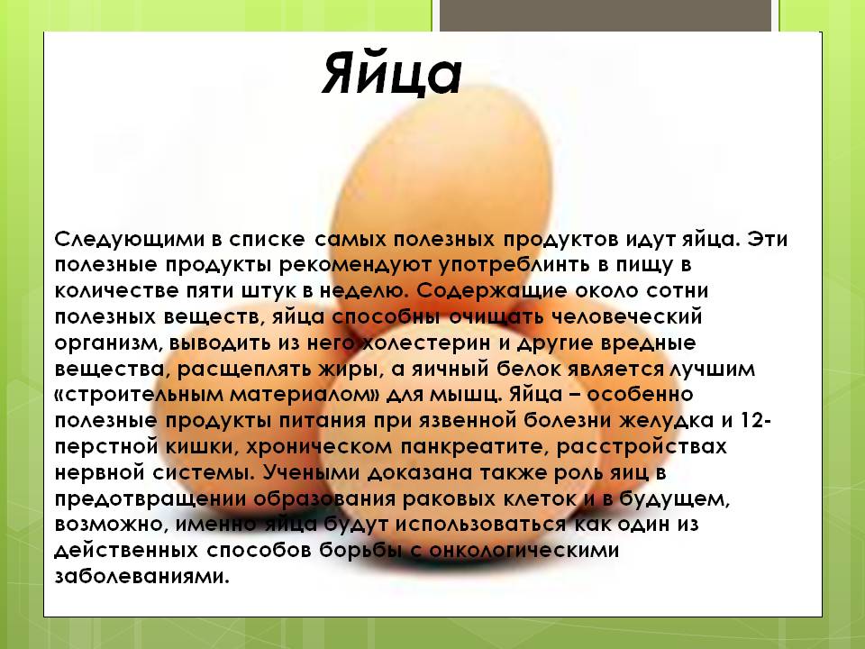 Можно ли собаке давать яйца? – некоторые правдивые мифы - kupipet.ru