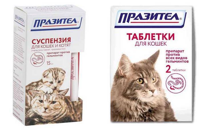 Таблетки и другие средства от глистов для кошек