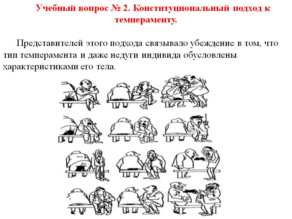 Темперамент животных