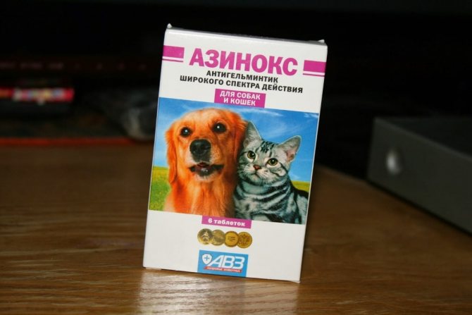 Азинокс для кошек – инструкция по применению препарата