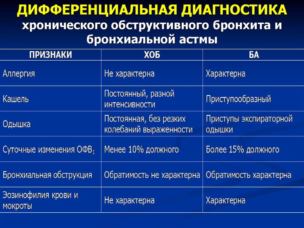 Симптомы и лечение астмы у собак - kupipet.ru