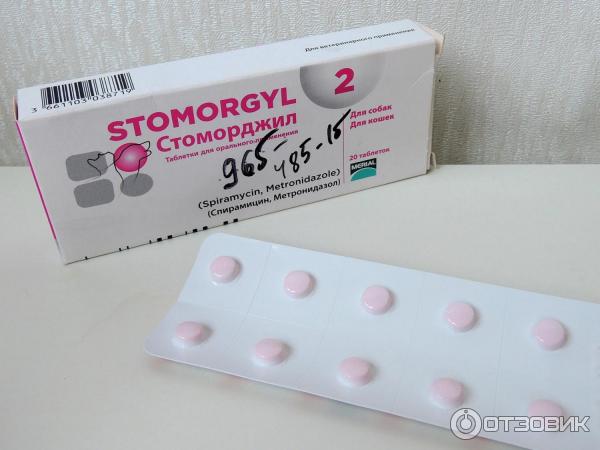 Стоморджил для кошек и собак: инструкция по применению средства против инфекционных заболеваний, показания, цена