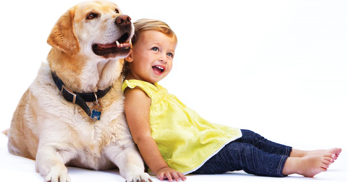 Топ-35 лучших пород собак для детей с фото | dogkind.ru