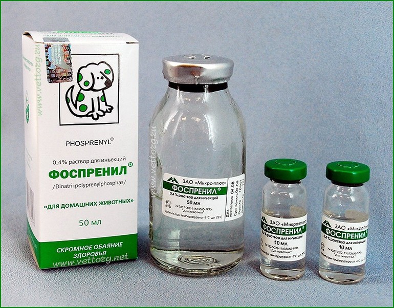 Фоспренил для кошек: состав, показания к применению, дозировка