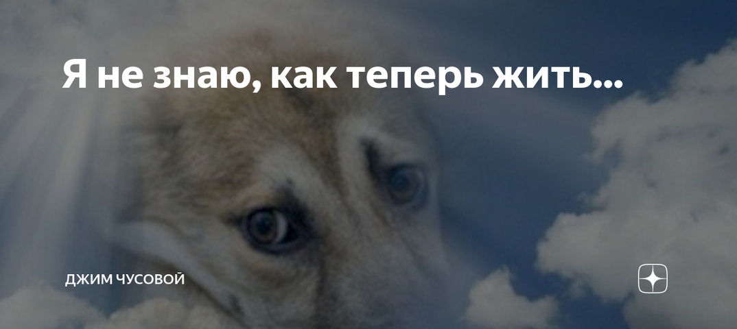 Есть ли души у животных и куда они попадают после смерти