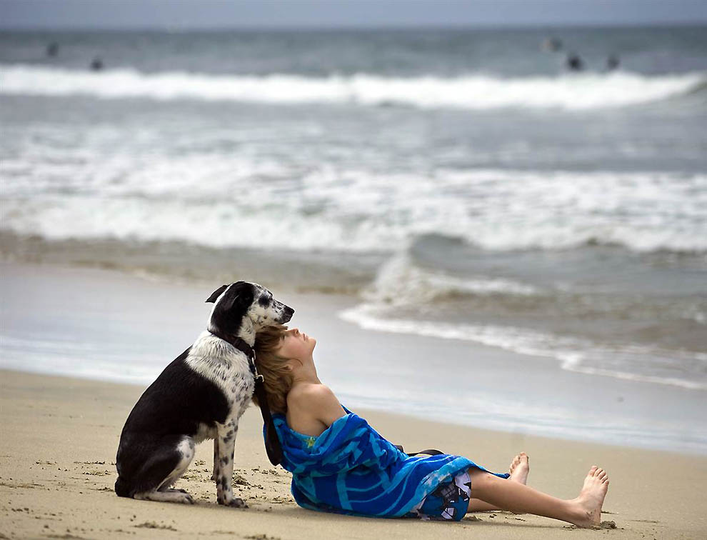 Фотографии хороших людей. Человек с собакой на море. Собака на пляже. Позитивные фото. Девушка с собакой у моря.