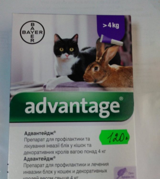 Описание лекарственной формы адвантейдж для кошек