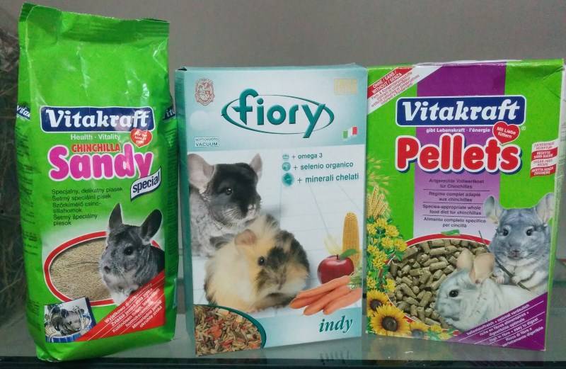 Инструкция по кормлению шиншилл в домашних условиях: создаем вкусный и полезный рацион