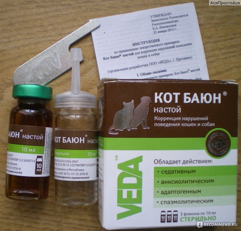 Кот баюн (таблетки) для кошек и собак | отзывы о применении препаратов для животных от ветеринаров и заводчиков