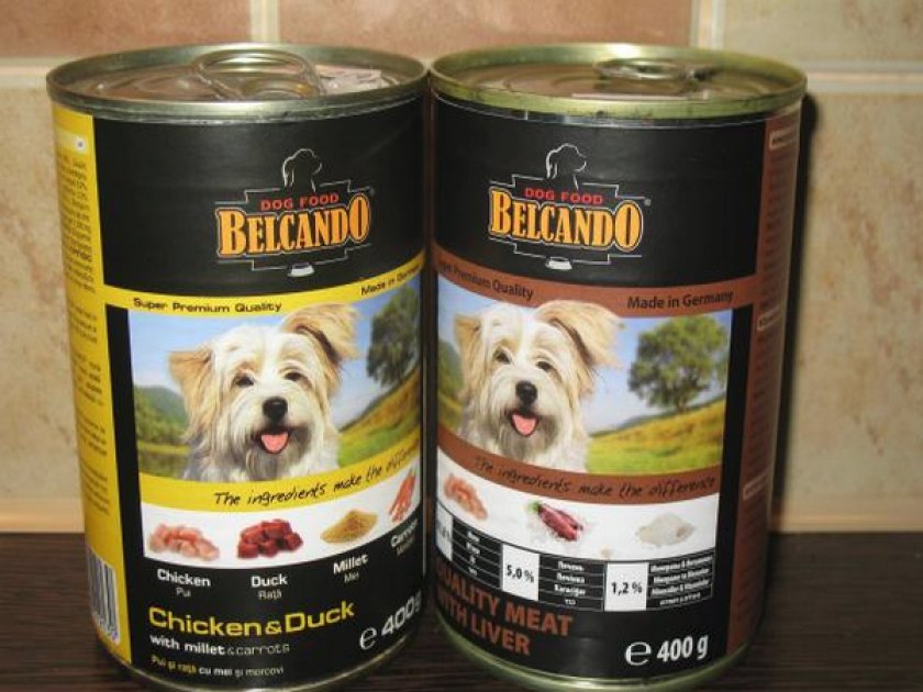 Консервы для собак: как выбрать лучший влажный корм для вашего питомца