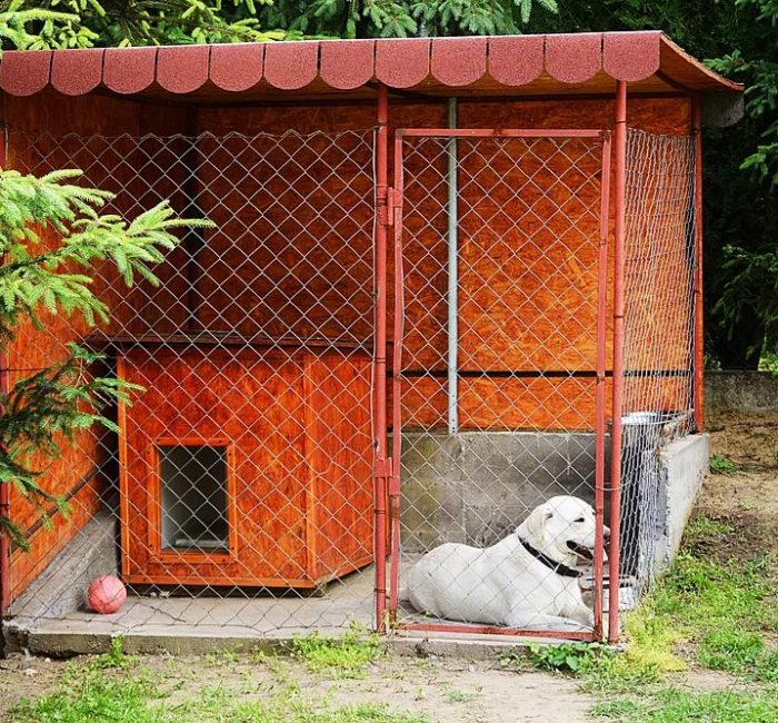 Вольер своими руками - описание постройки простых, просторных и удобных вольеров для собак (100+ фото