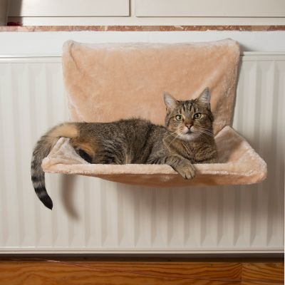 Лежанка для кошки из старого свитера - дизайн интерьеров, фото журнал remontgood.ru