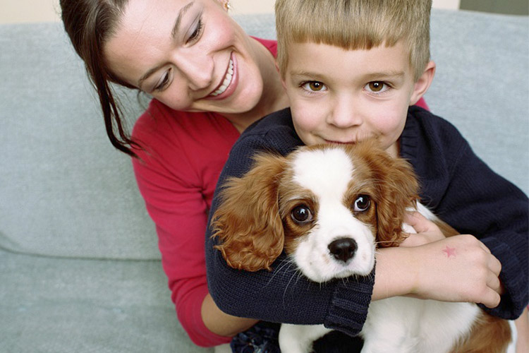 Лучшие породы собак для ребенка — как правильно выбрать?